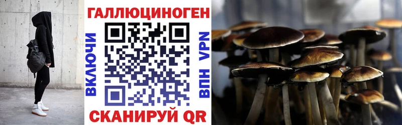 Галлюциногенные грибы MAGIC MUSHROOMS  Купить закладки  Белозерск 